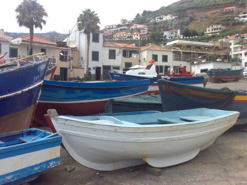 Madeira South West: Half Day Private Tour - Discovering the Charm of Câmara de Lobos and Its Fishing Heritage