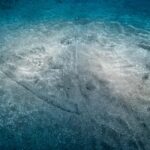 Madeira: Stingray Diving Experience in Caniçal - Starting Point at Praia da Ribeira de Natal