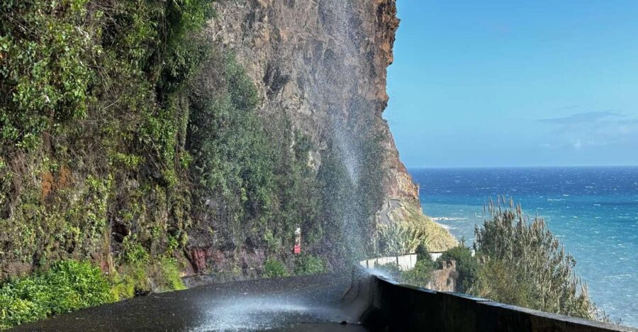 Madeira: Sunny South Side - Cabo Girão, Waterfalls, C. Lobos - What Makes This Tour Stand Out: Cabo Girão Skywalk and Coastal Villages