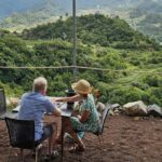 Madeira: Vineyard Tour w/ Wine Tasting & Skywalk - Scenic Vineyard Exploration with an Expert Guide