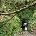 Madeira: Walking Tour - Queimadas / Caldeirão Verde - Practical Information: Timing, Difficulty, and Accessibility