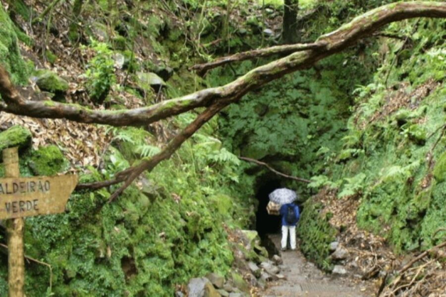 Madeira: Walking Tour - Queimadas / Caldeirão Verde - Practical Information: Timing, Difficulty, and Accessibility