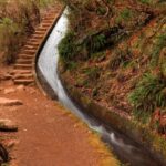 Madeira West 4x4 Jeep Safari: Wild Coast, Lava Pools & Fanal - Starting at Madeiras Famous Cabo Girao Skywalk