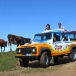 Madeira West - Enchanted Terraces & Fanal Unesco open top jeep - Visiting Fanal UNESCO Forest and Its Enchanting Trails