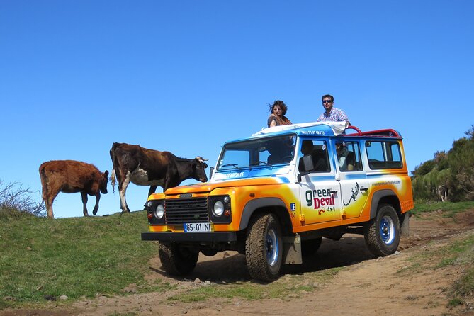 Madeira West - Enchanted Terraces & Fanal Unesco open top jeep - Visiting Fanal UNESCO Forest and Its Enchanting Trails