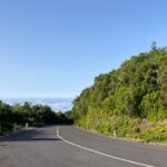Madeira West Tour From Funchal In A Private Vehicle - Visiting Camara de Lobos: A Charming Fishing Village