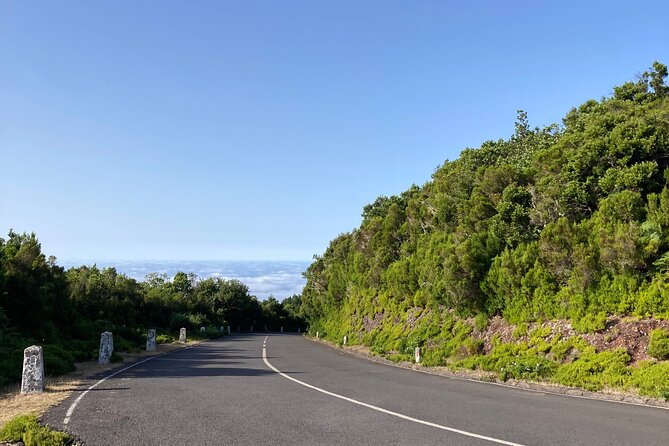 Madeira West Tour From Funchal In A Private Vehicle - Visiting Camara de Lobos: A Charming Fishing Village