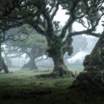 Madeira: West Tour With Guide Fanal Forest SykWalkExperience - Exploring São Vicente and Its Waterfalls