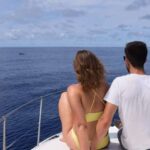 Madeira: Whale and Dolphin Watching Private Cruise - Embarking from Marina da Calheta to the Madeira Coastline