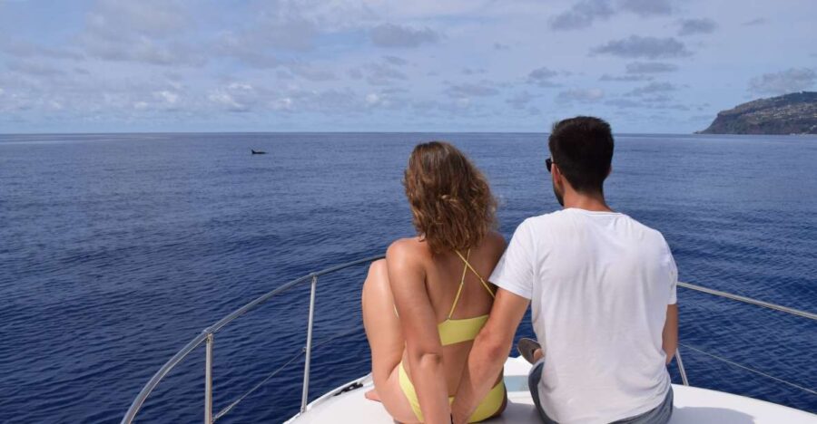Madeira: Whale and Dolphin Watching Private Cruise - Embarking from Marina da Calheta to the Madeira Coastline