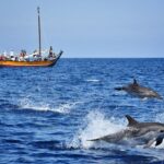 Madeira: Whale Watching Excursion in a Traditional Vessel - Madeira’s Traditional Wooden Boat: The "Ribeira Brava"
