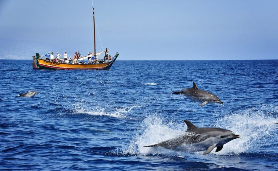 Madeira: Whale Watching Excursion in a Traditional Vessel - Madeira’s Traditional Wooden Boat: The "Ribeira Brava"