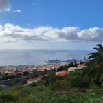 Madeira Wine Tasting and Funchal City tour - Inside Madeira’s Oldest Cookie Factory