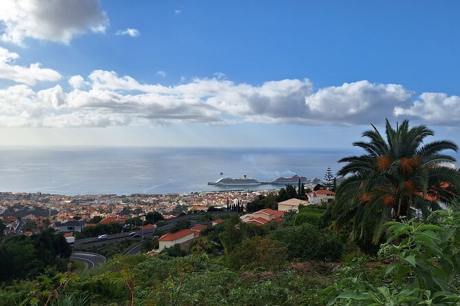 Madeira Wine Tasting and Funchal City tour - Inside Madeira’s Oldest Cookie Factory