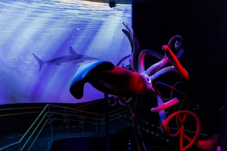 Madrid: Atlantis Aquarium Entry Ticket - Exploring the Unique Setting of Atlantis Aquarium Madrid