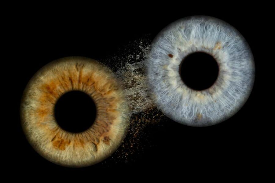 Madrid: Discover the colors of your iris with printing included - The Artistic Power of Iris Macro Photography
