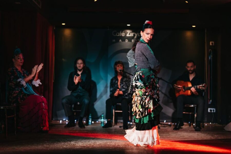 Madrid: Flamenco Show at Café Ziryab - The Performers and Artistic Excellence