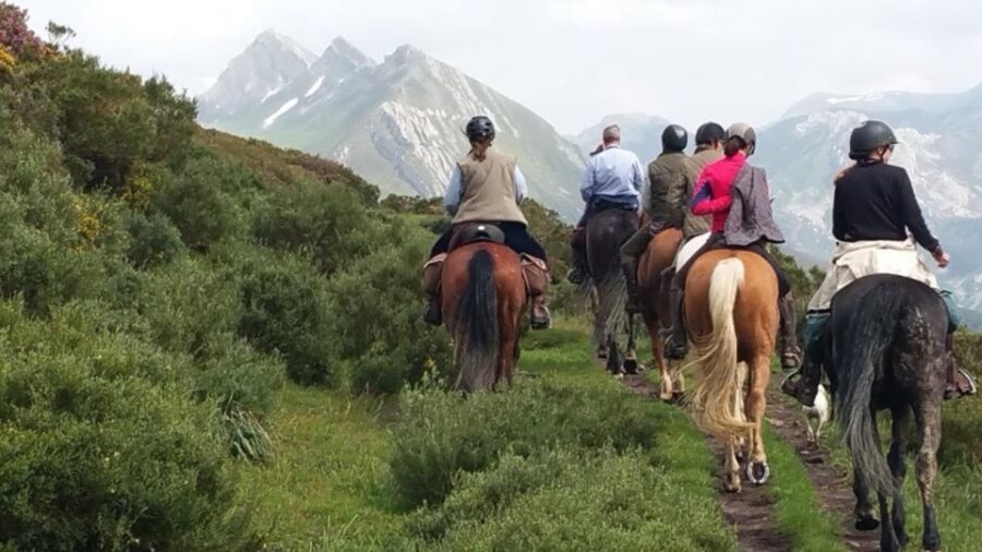 Madrid: Horse Riding in Sierra del Guadarrama National Park - Convenient pickup and transportation from Madrid