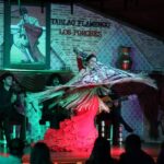 Madrid: Los Porches Flamenco Show with Tapas and Wine Ticket - The Setting of Los Porches: Spanish Style and Artistic Atmosphere