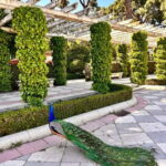 Madrid: Magic Retiro Park Bike Tour - The Palacio de Cristal: Madrid’s Glass Marvel