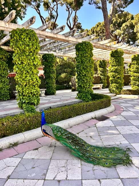 Madrid: Magic Retiro Park Bike Tour - The Palacio de Cristal: Madrid’s Glass Marvel