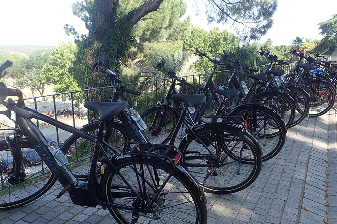 Madrid Parks & Riverside Bike Tour - Visiting the Campo del Moro Royal Garden