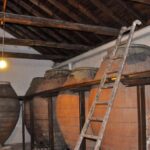 Madrid: Regional Madrid Wineries Guided Tour and Tastings - Exploring the Wineries: From Boutique to Historic Caves