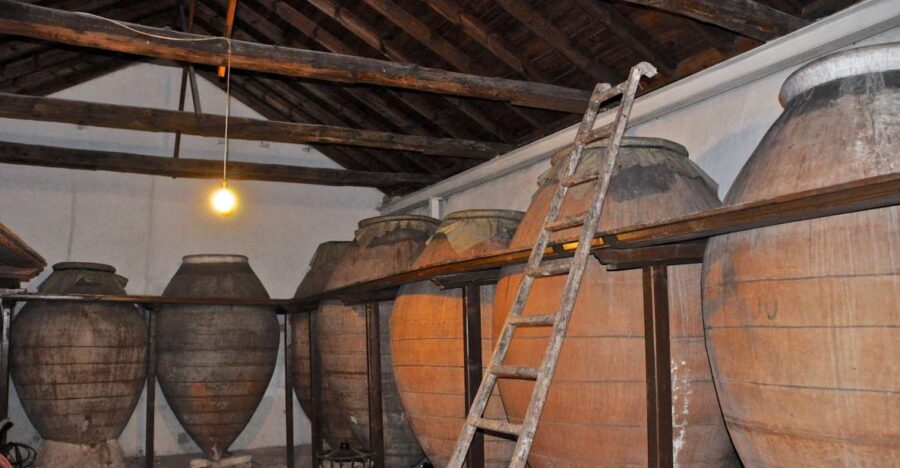 Madrid: Regional Madrid Wineries Guided Tour and Tastings - Exploring the Wineries: From Boutique to Historic Caves