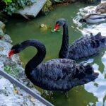 Madrid: Retiro Park Guided Tour with a Photographer - Starting Point at Plaza de la Independencia