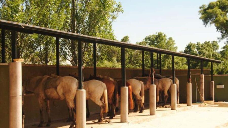 Madrid: Sierra de Guadarrama Horseback Riding Experience - Starting Point and How to Find It in Los Molinos