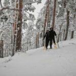 Madrid: Snowshoe tour - Navigating the Trails of Sierra de Guadarrama