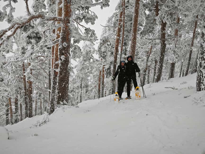 Madrid: Snowshoe tour - Navigating the Trails of Sierra de Guadarrama