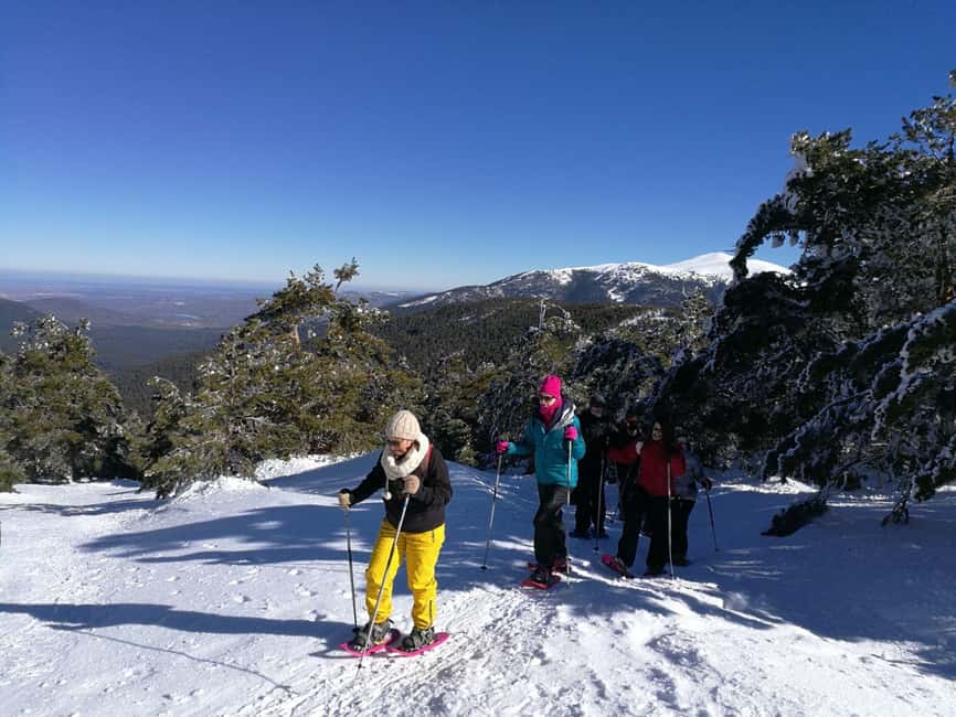 Madrid: Snowshoes - Exploring Sierra de Guadarramas Snow-Covered Slopes and Pine Forests