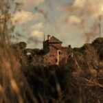 Madrid: Storytelling Through Photography - Starting Point at Puerta del Sol, Near the Bear