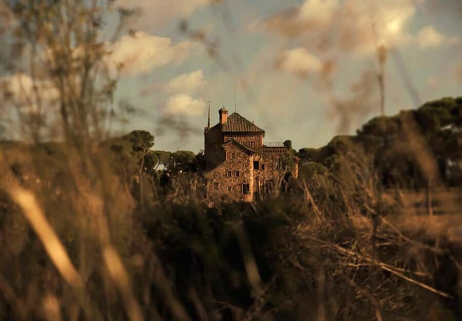 Madrid: Storytelling Through Photography - Starting Point at Puerta del Sol, Near the Bear