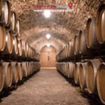 Madrid: Tour Private Wine Tasting, Tapas route & Toledo - Visiting a Local Winery in Castilla-La Mancha