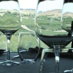 Madrid Wineries Private Tour with Hotel Pickup and Lunch - Convenient Hotel Pickup and Luxury Transportation in Madrid
