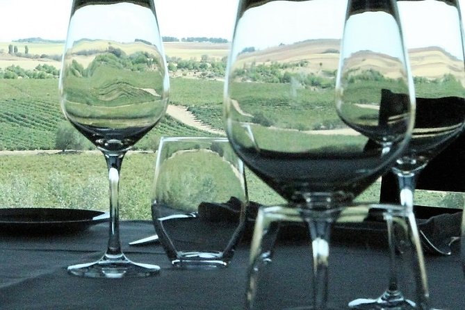 Madrid Wineries Private Tour with Hotel Pickup and Lunch - Convenient Hotel Pickup and Luxury Transportation in Madrid