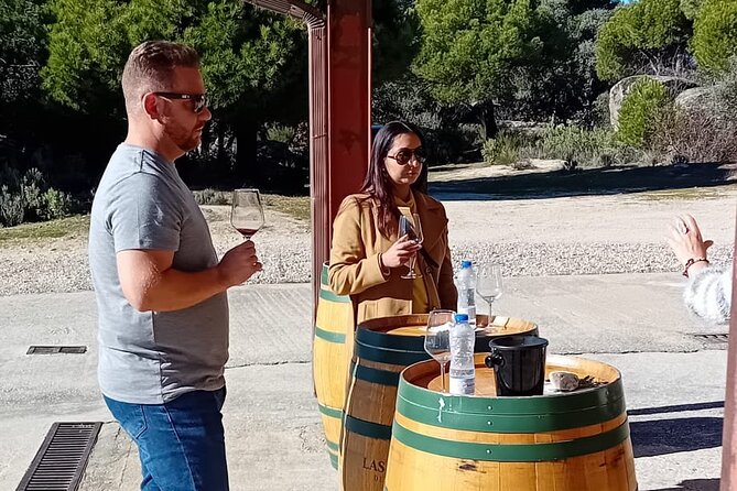 Madrid Winery Tour with Tasting & Sommelier Guide - The Return Journey and Final Drive