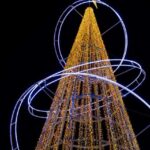 Magical Porto Christmas Lights Night Tour 1:30h - From the Vímara Peres Statue to Porto Cathedral