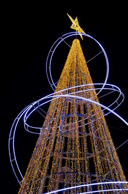 Magical Porto Christmas Lights Night Tour 1:30h - From the Vímara Peres Statue to Porto Cathedral