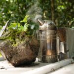 Magical World of Beekeeping on São Miguel Azores Private Tour - Learning the History and Craft of Beekeeping