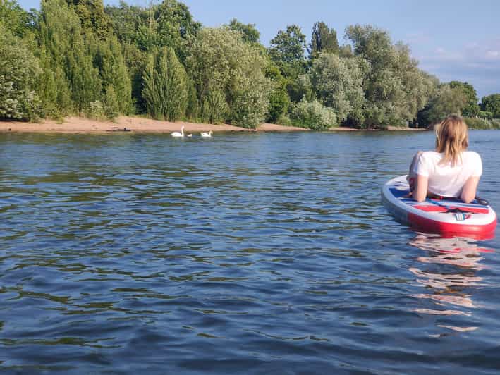 Mainz: Stand Up Paddling Tour on the Rhine River - Learning the Basics: Equipment and Techniques