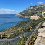 Maiori: Amalfi Coast Path of Lemons Day Trip with Tastings - Visiting the Collegiate Church of Santa Maria a Mare