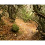 Majestic Meteora Private Morning Tours - Visiting the Holy Monastery of the Great Meteoron