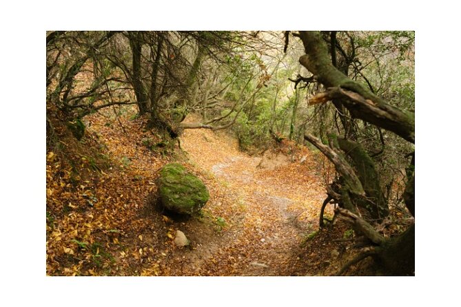 Majestic Meteora Private Morning Tours - Visiting the Holy Monastery of the Great Meteoron