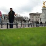 Majesty in Motion: Exploring Westminster's Royal Legacy - Starting at Trafalgar Square and Nelson’s Column