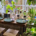 Make Your Own Terrarium in a houseplant paradise - What the Terrarium Bar Looks Like and How You Use It