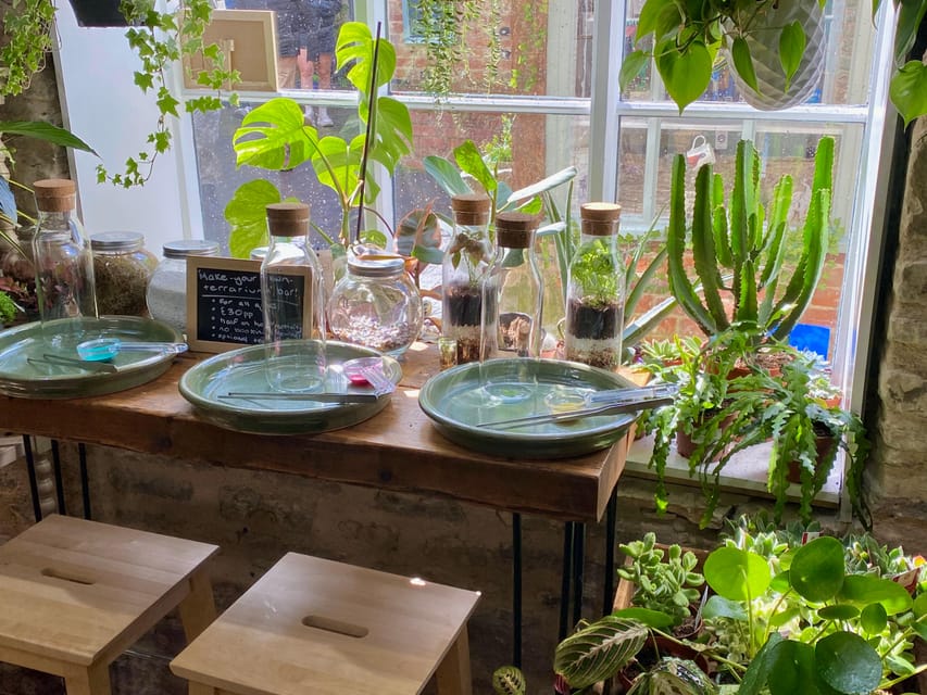 Make Your Own Terrarium in a houseplant paradise - What the Terrarium Bar Looks Like and How You Use It