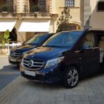 Malaga Airport (Costa del Sol) Private Departure Transfer - Convenient Pickup from Central Malaga Hotels
